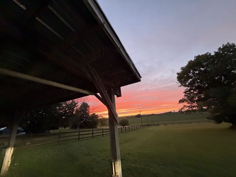 Wellness session on the farm