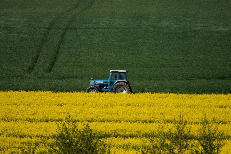 People creating art outdoors on a farm